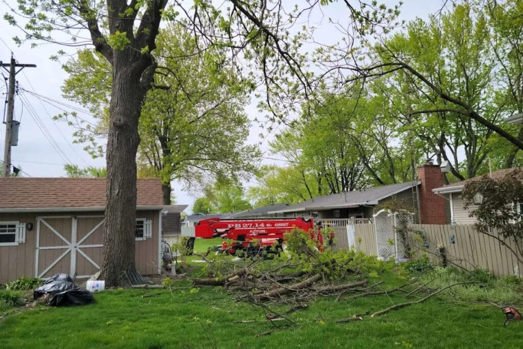Emergency Services Storm Damage Clean Up Trimmed Up Trees Expert Tree Care Services Illinois