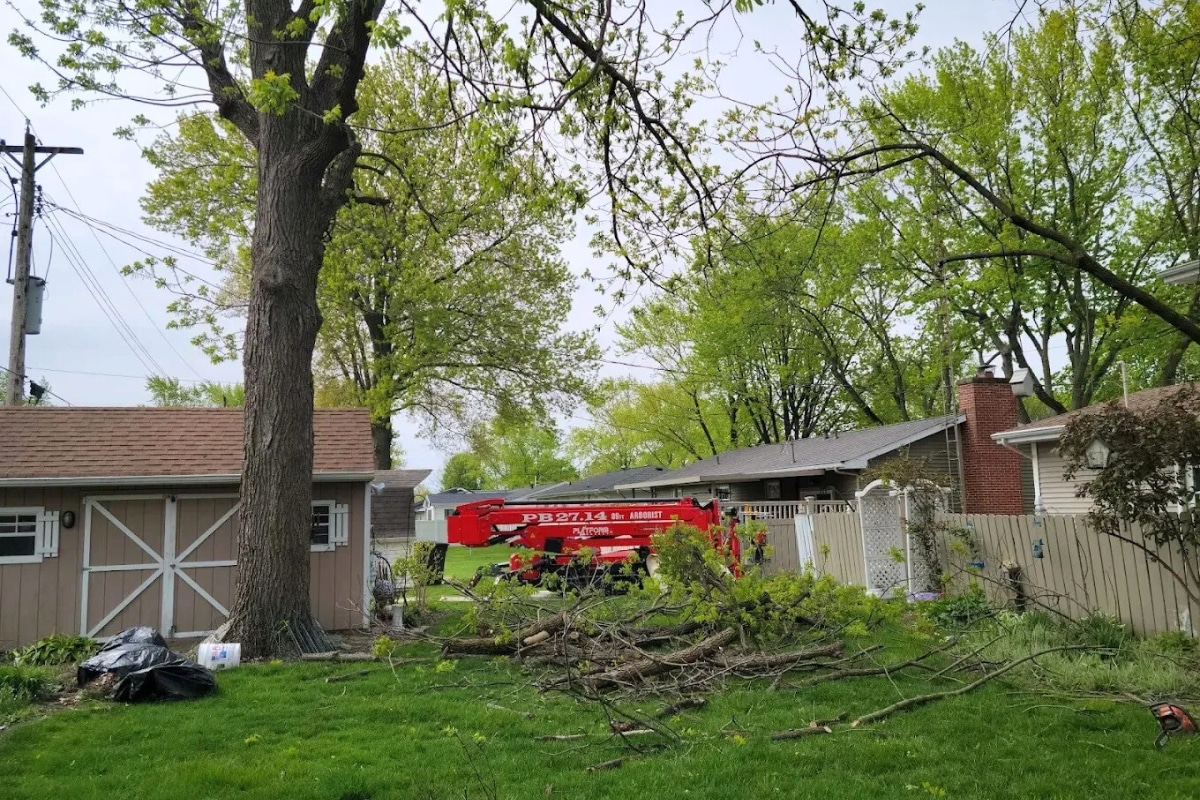 Emergency Services Storm Damage Clean Up Trimmed Up Trees Expert Tree Care Services Illinois
