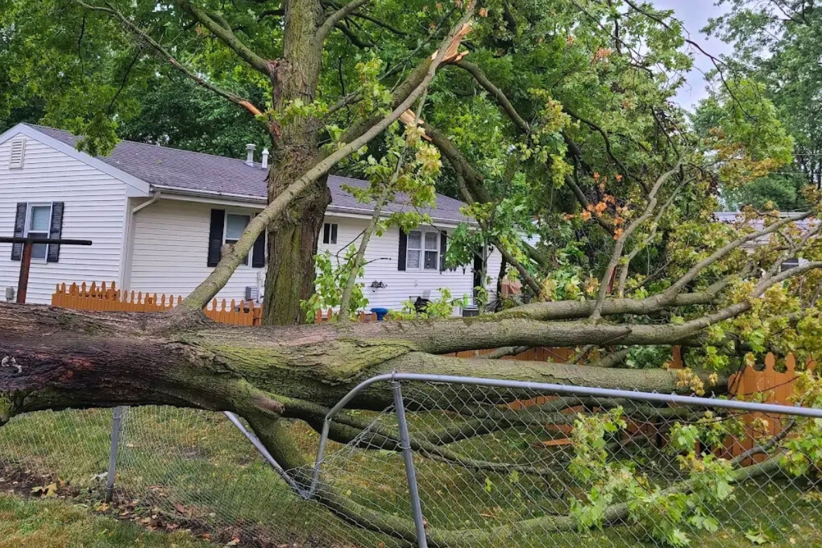 Emergency Services Storm Damage Response Trimmed Up Trees Expert Tree Care Services Illinois
