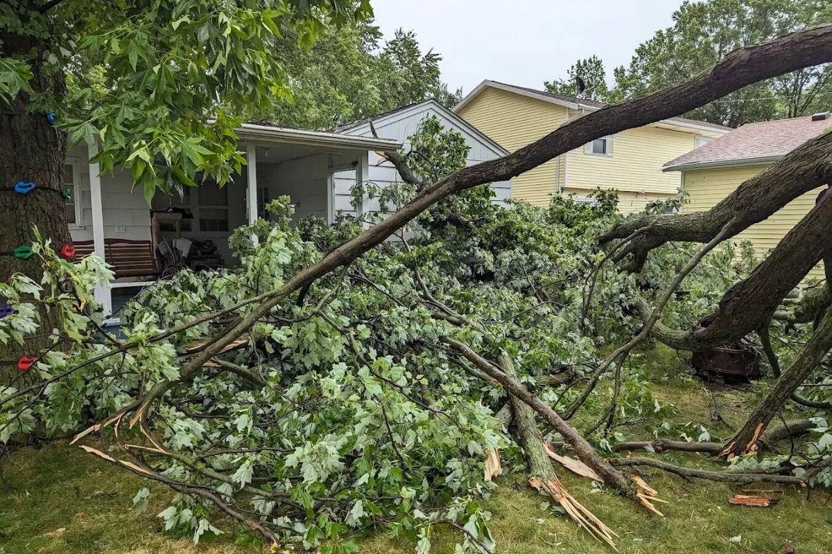 Emergency Services Storm Damage Trimmed Up Trees Expert Tree Care Services Illinois