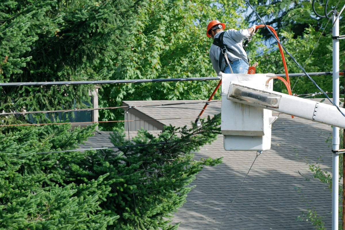 Roofline Clearance in Illinois Trimmed Up Trees
