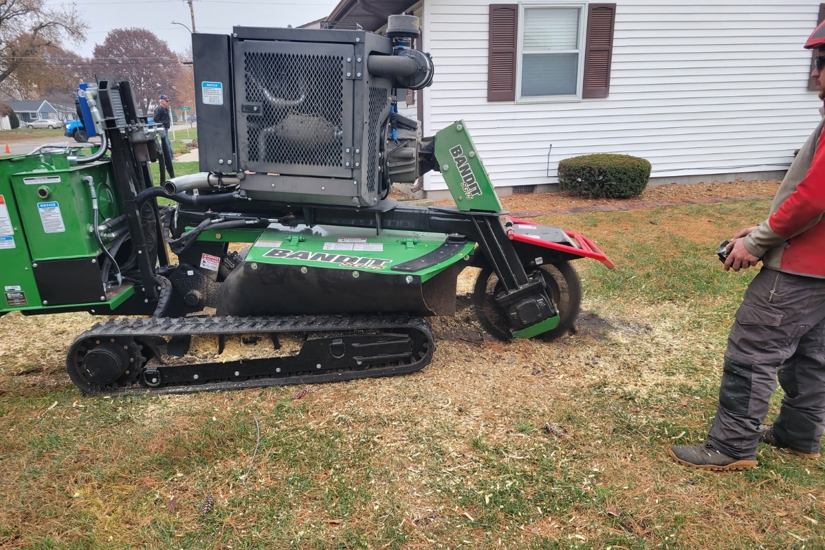 Stump Grinding Professionals Trimmed Up Trees Expert Tree Care Services Illinois