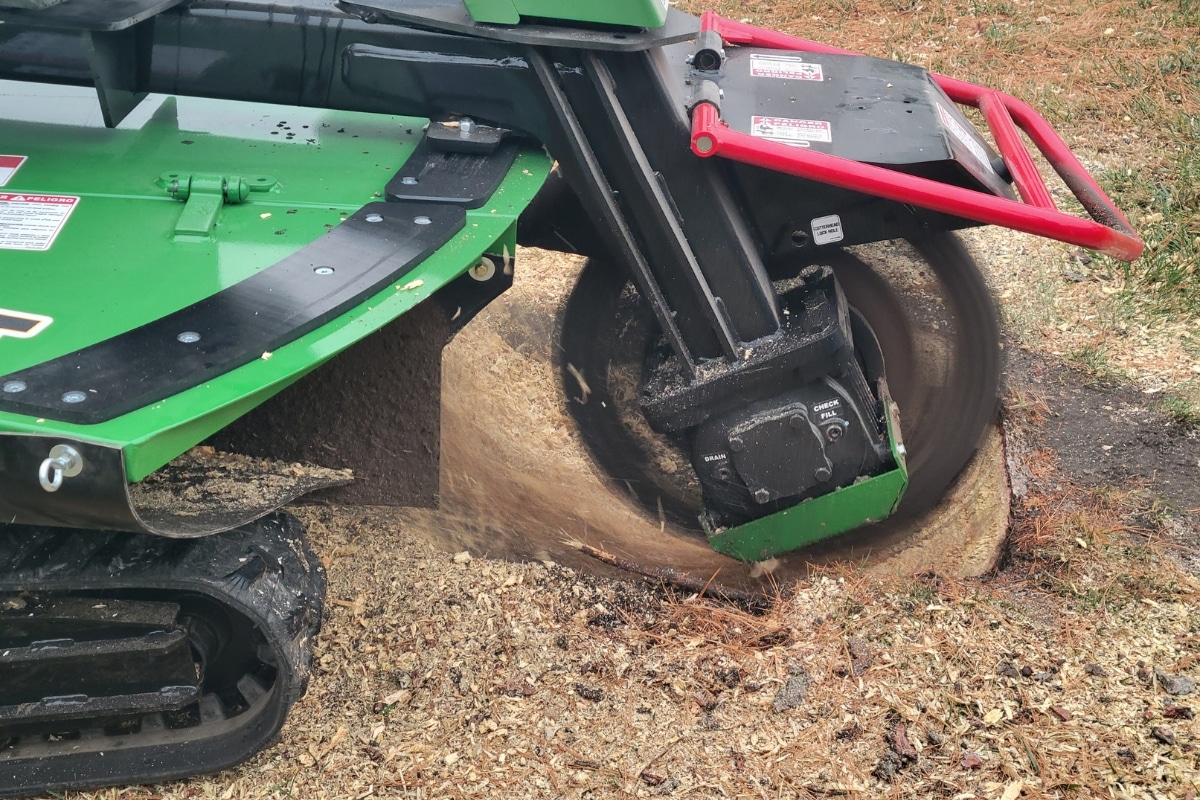 Stump Grinding Trimmed Up Trees Expert Tree Care Services Illinois