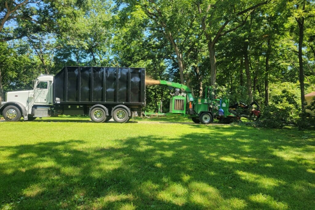 Tree Care Services Trimmed Up Trees Illinois Wood Chipper