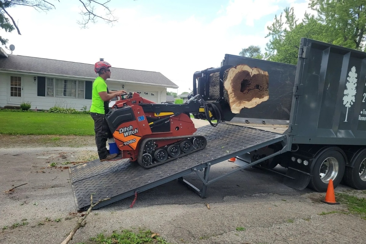 Tree Removal Trimmed Up Trees Expert Tree Care Services Illinois