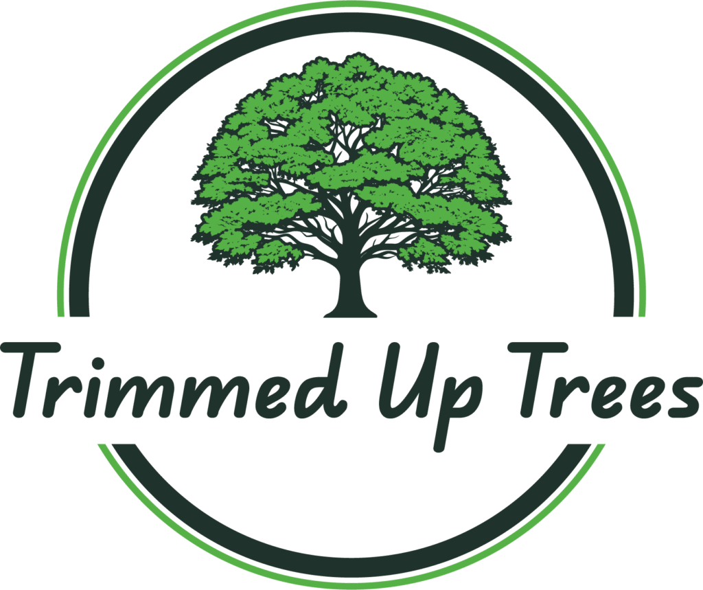 Trimmed Up Trees Full Color s