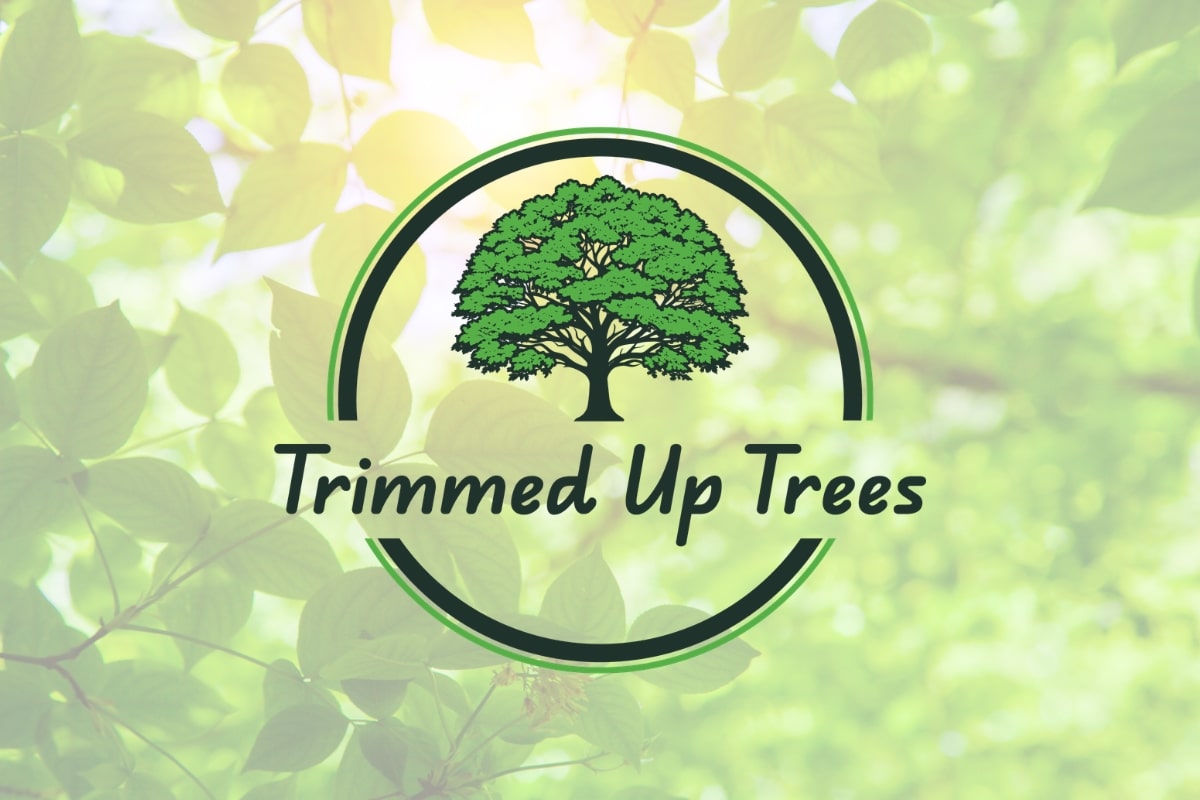 Trimmed Up Trees Residential & Commercial Tree Care Services Expert Tree Care Solutions Illinois Arborists Family Owned